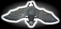 Bart&prime;s Disco-Mobil - Halloween-Party
Achtung!!! Fledermaus im Tiefflug!!!